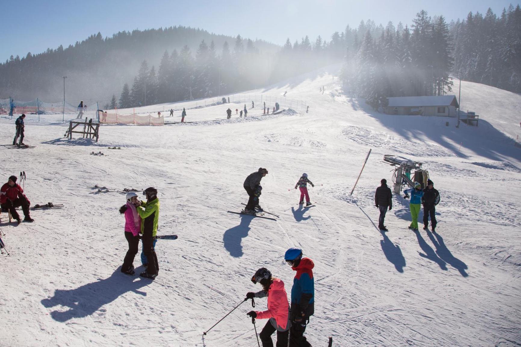 Lake Peak Apartments, Ribnisko Pohorje Ribnica na Pohorju Экстерьер фото